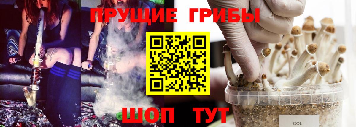 Псилоцибиновые грибы мухоморы  Вход с VPN  Александров 